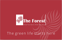 theforest